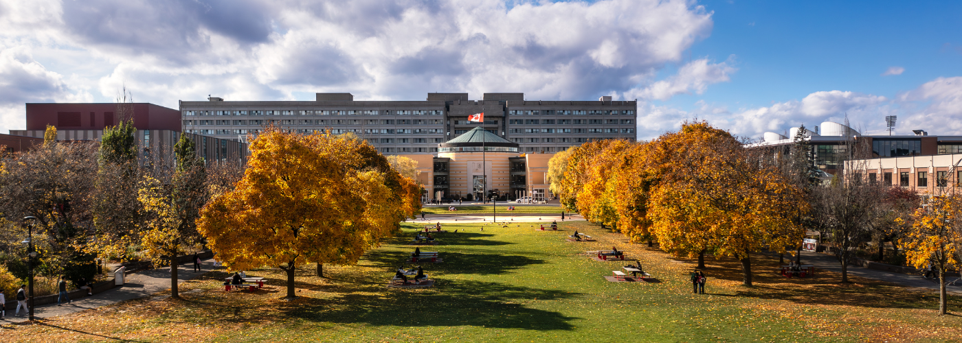 York University campus